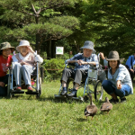 お散歩での思わぬ出会い