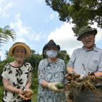 夏の実り