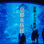 【駅から徒歩7分】京都水族館とその周辺エリアをご紹介！～オオサンショウウオ、クラゲワンダーなど～