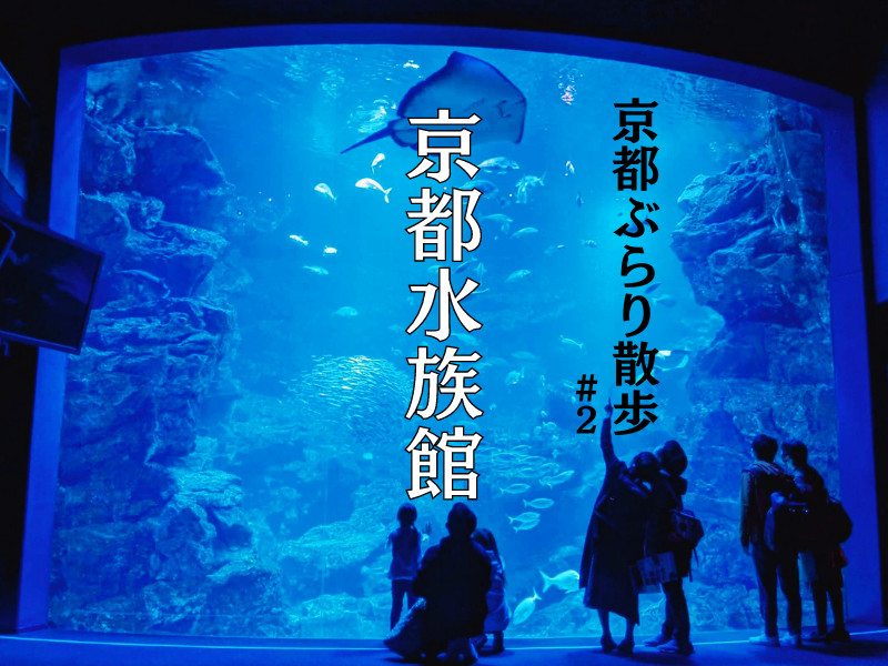 京都水族館　京の海　大水槽