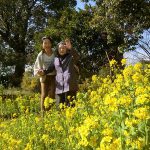 春の花盛り散歩