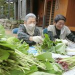 絹さや！ふき！春のお散歩　春の味