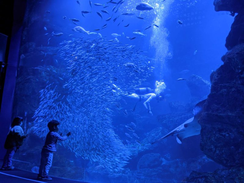 京都水族館　京の海