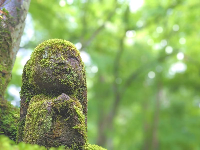 こけをかぶりながらも穏やかに空を眺めるお地蔵さま